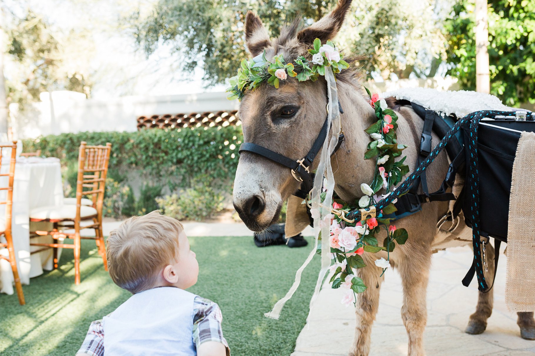 beer burro at wedding